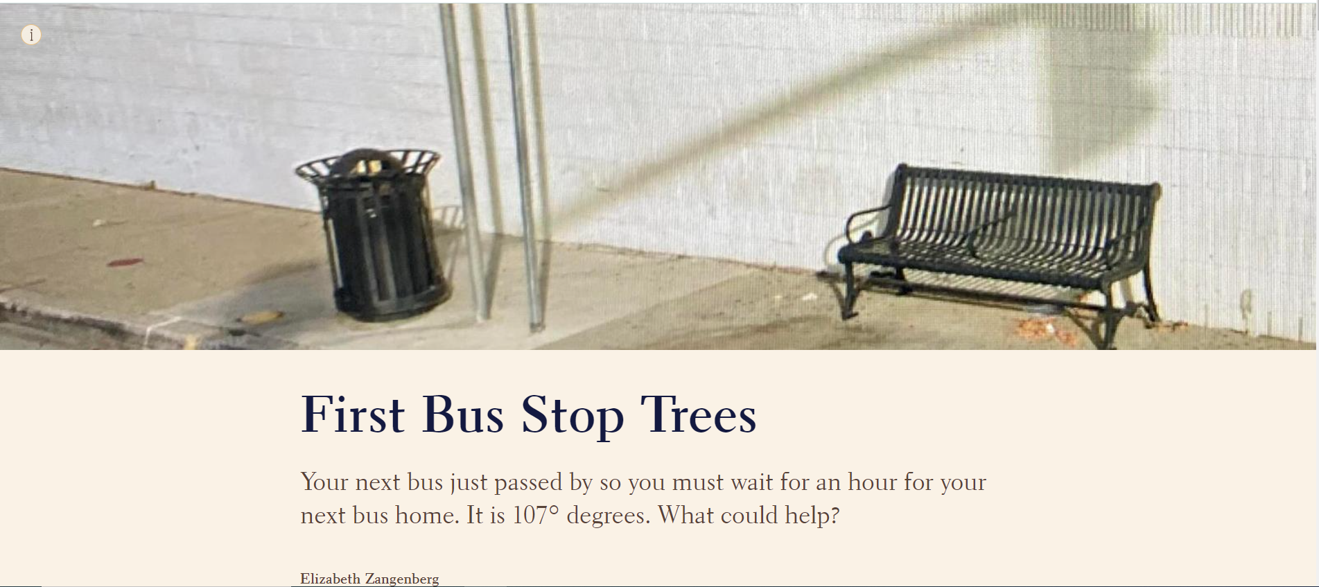 Bus stop tree project