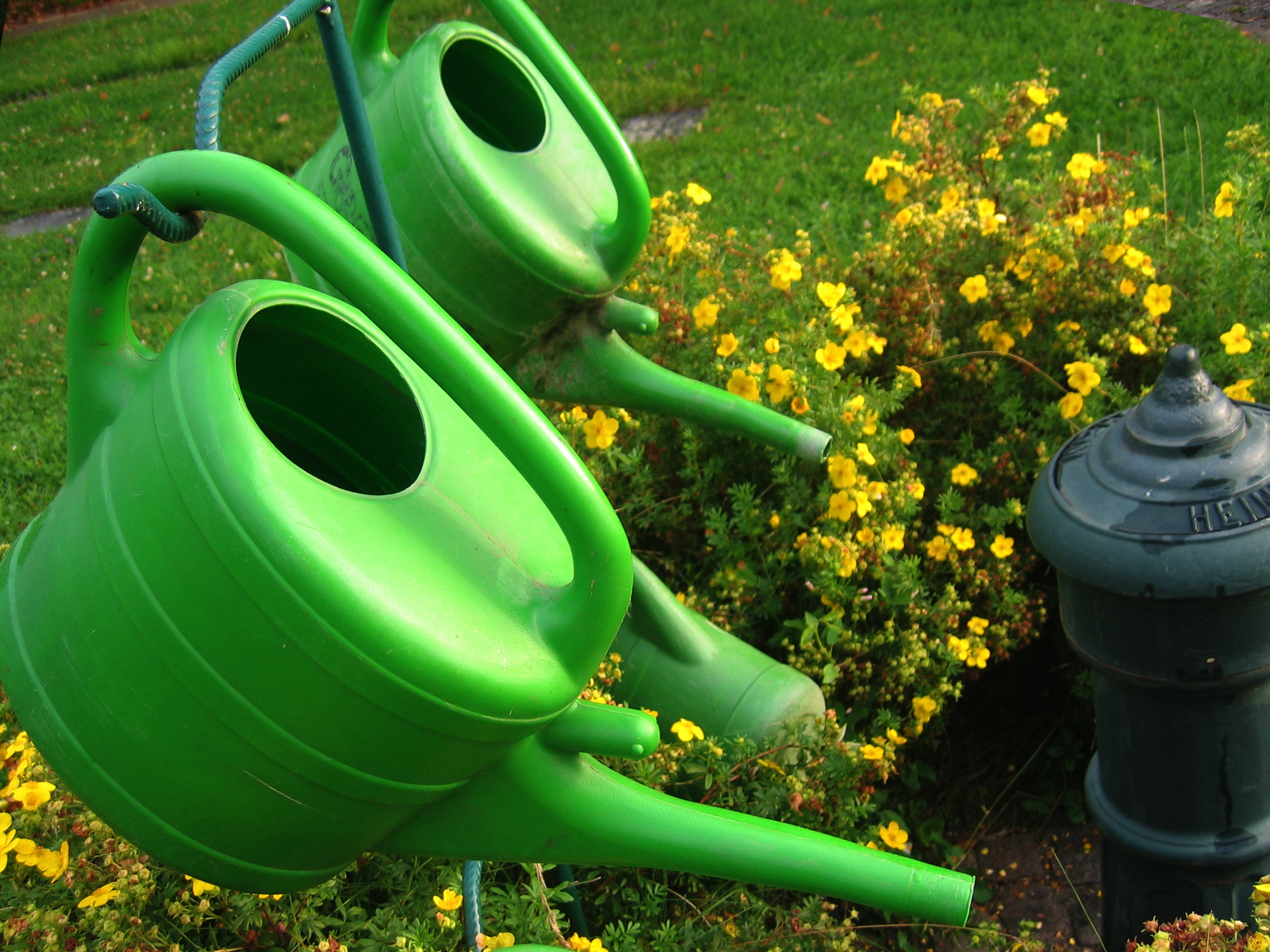 Watering Cans