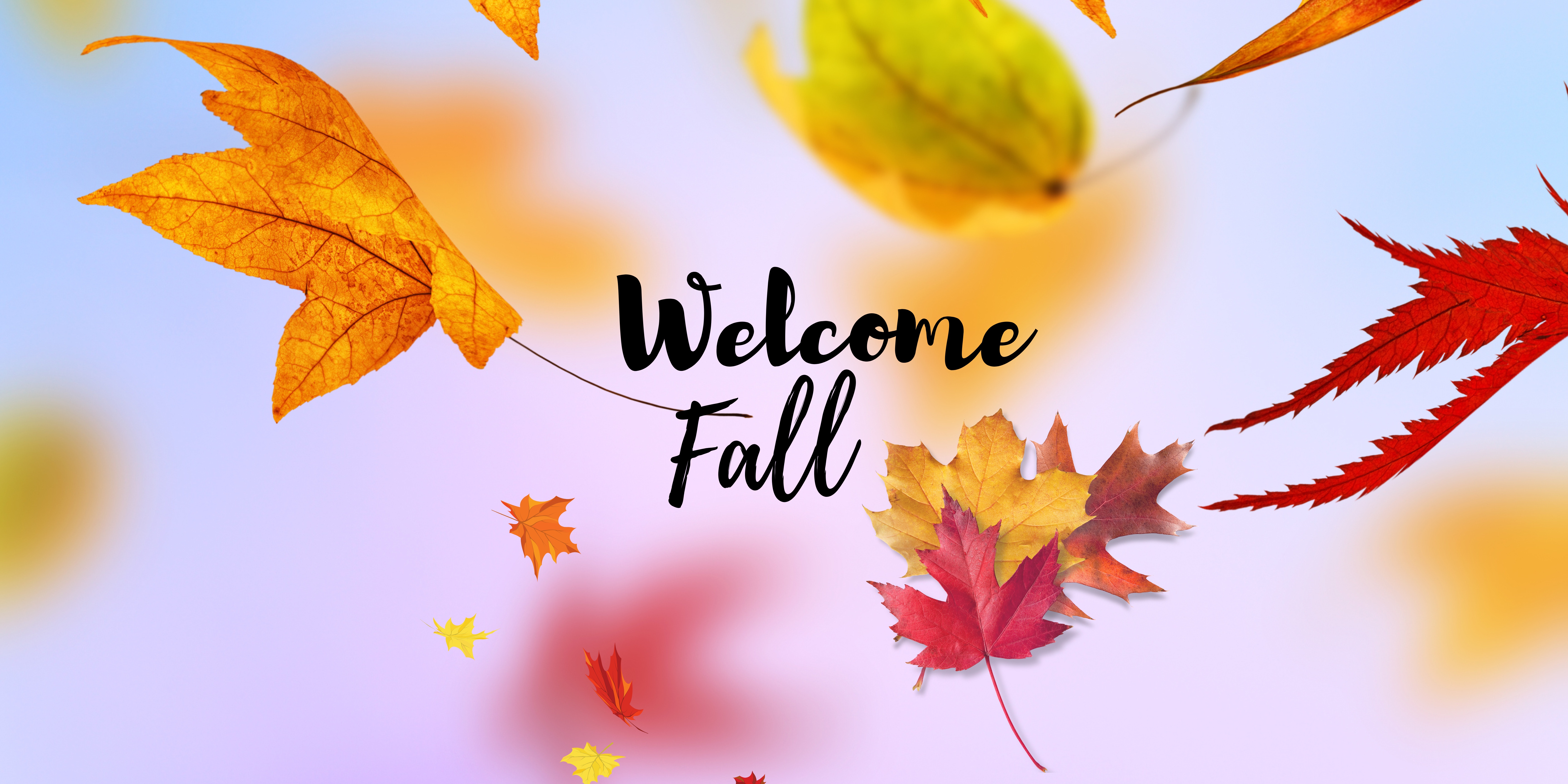 Welcome to Fall 2025