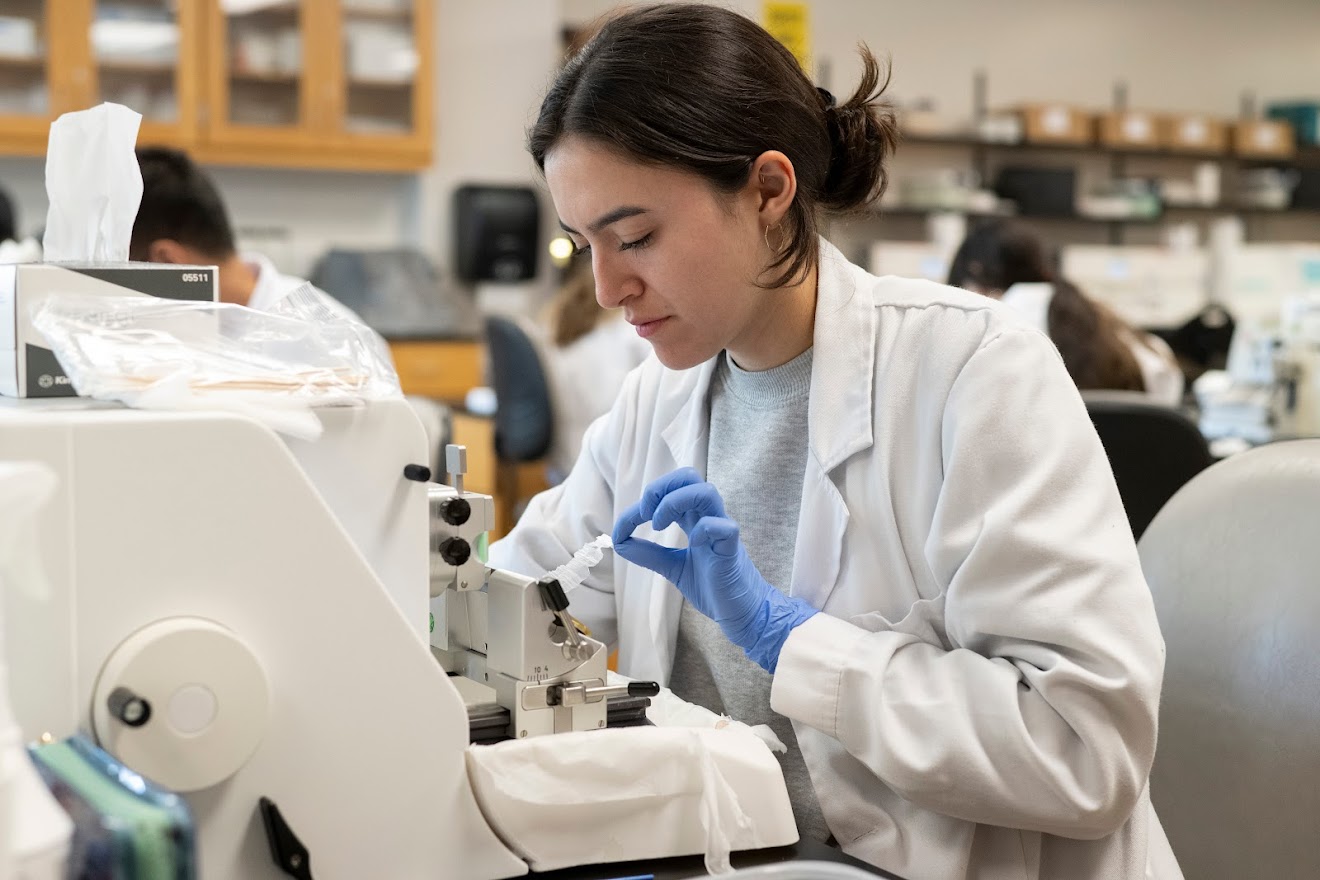 Student dress in white coat sits in front of a microscope