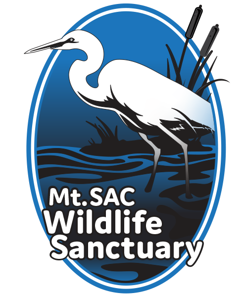 Wildlife Sanctuary heron standing in water among cattails, Logo